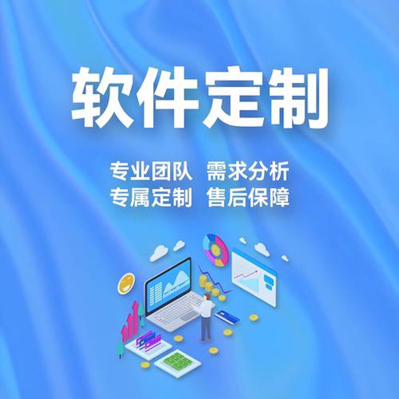 软件项目外包